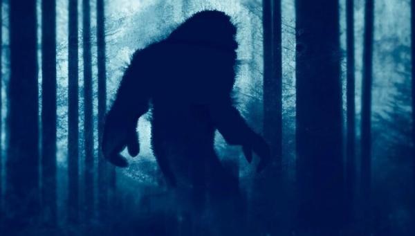 یک واقعیت جالب درباره هیولای مشهور به پاگنده ، سایه ترسناک جنگل های تاریک چیست؟